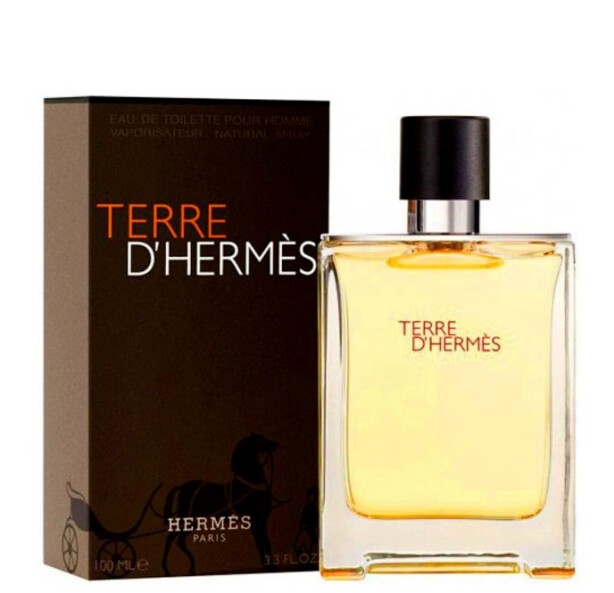 HERMES TERRE D' HERMES eau de toilette 100ml